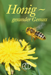 Honig - gesunder Genuss