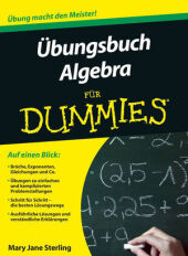 �bungsbuch Algebra f�r Dummies