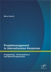 Projektmanagement in internationalen Konzernen