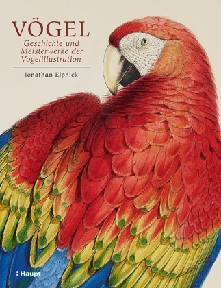Vögel - Geschichte und Meisterwerke der Vogelillustration