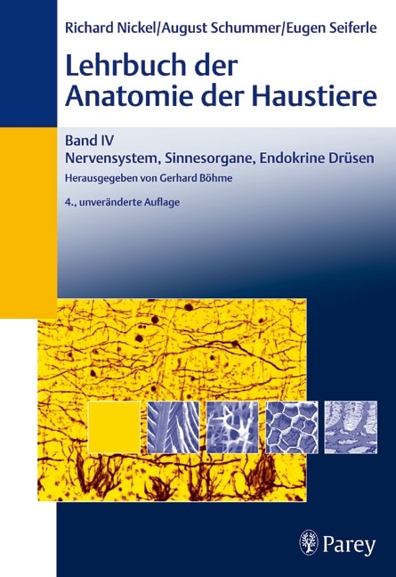 Nervensystem, Sinnesorgane, Endokrine Drüsen main product photo