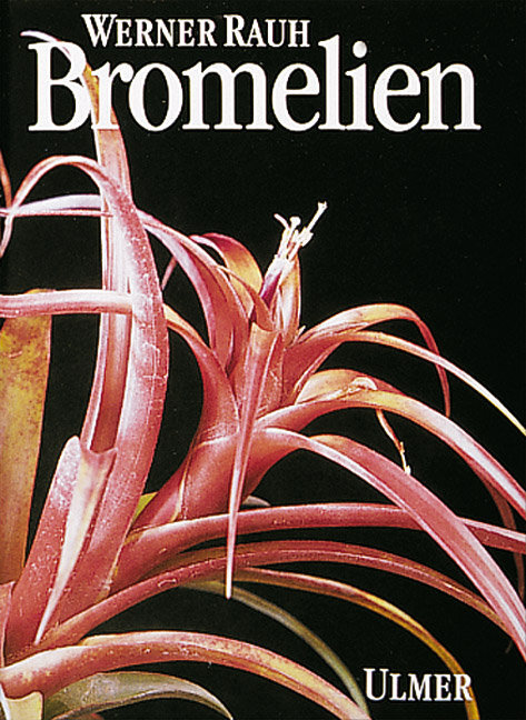 Bromelien main product photo