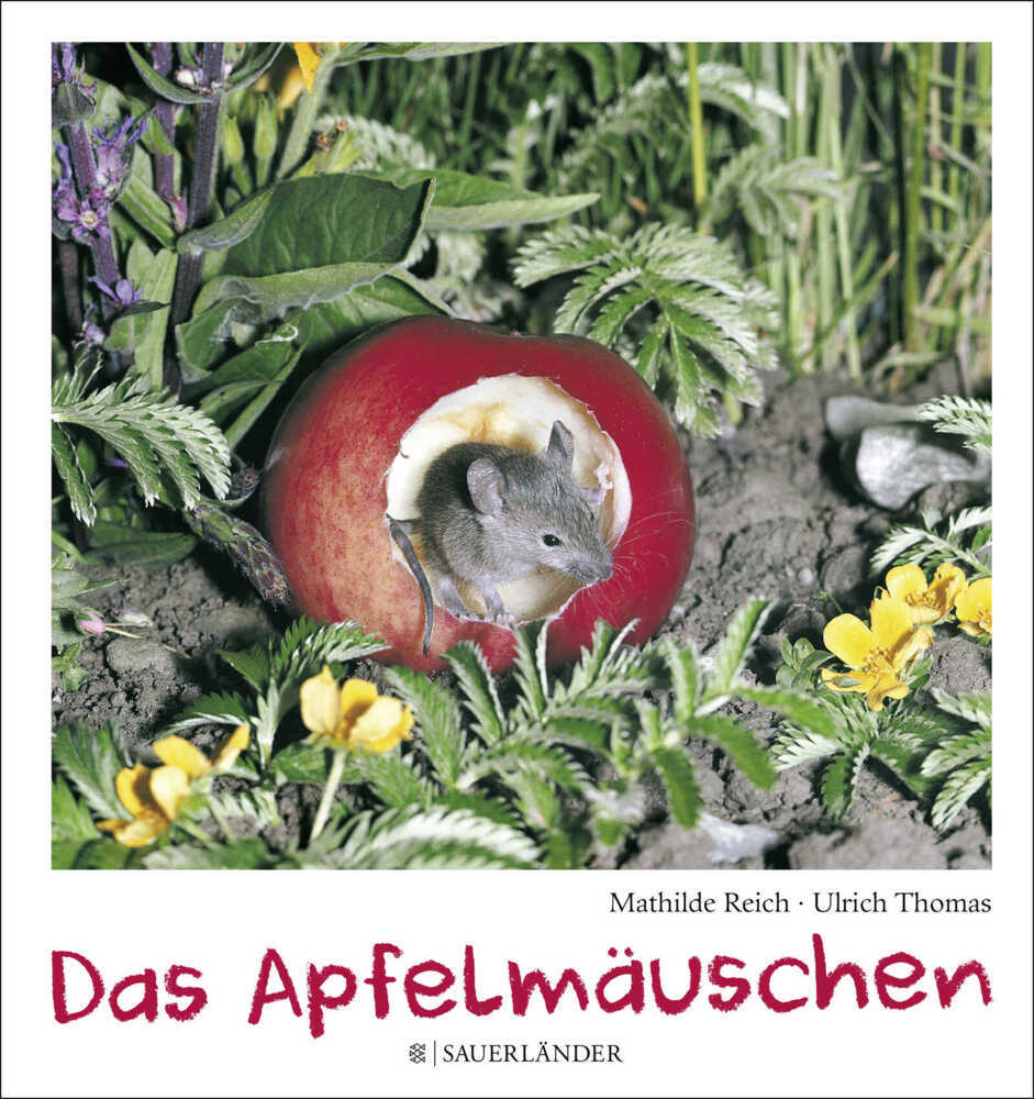 Das Apfelmäuschen main product photo