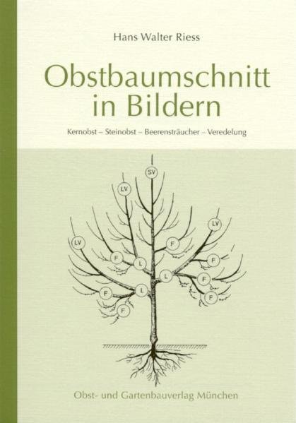 Obstbaumschnitt in Bildern main product photo