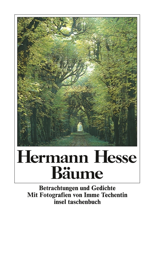 Bäume main product photo