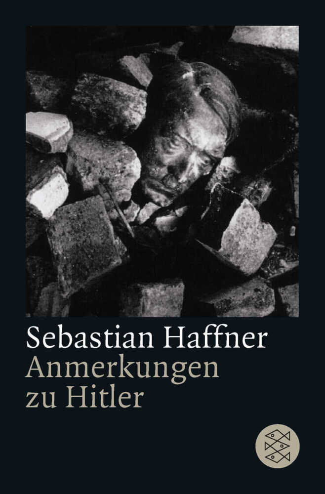 Anmerkungen zu Hitler main product photo