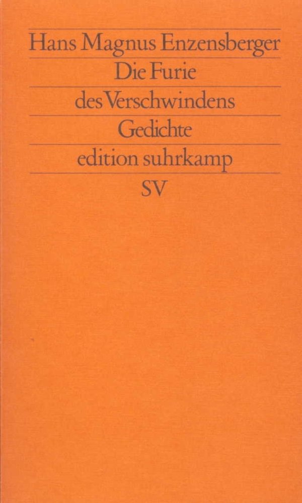 Die Furie des Verschwindens main product photo