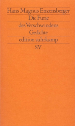 Die Furie des Verschwindens