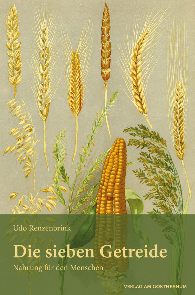 Die sieben Getreide main product photo