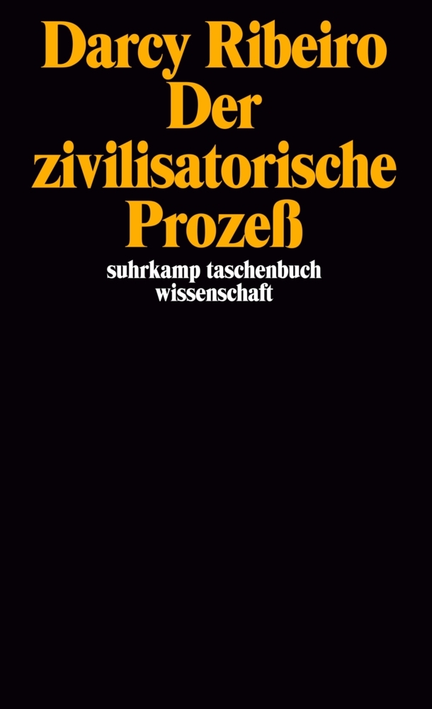 Der zivilisatorische Prozeß main product photo
