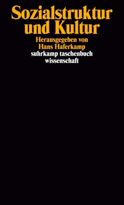 Sozialstruktur und Kultur