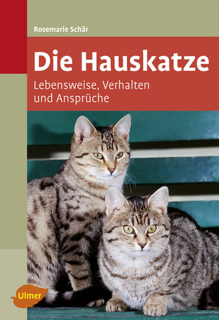 Die Hauskatze main product photo