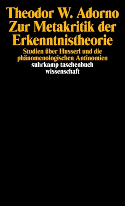 Zur Metakritik der Erkenntnistheorie