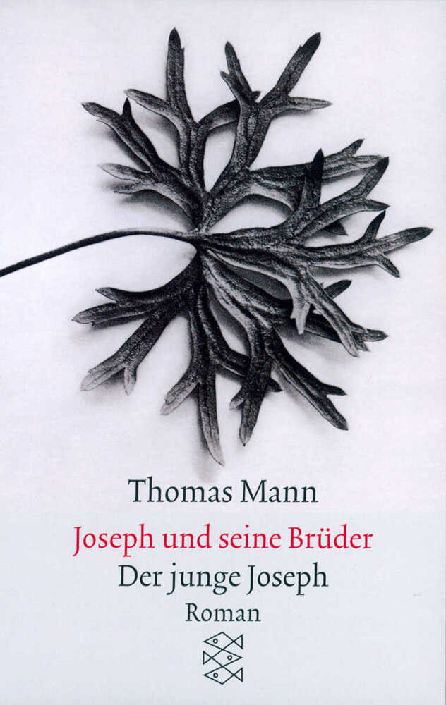 Joseph und seine Brüder. Tl.2 main product photo