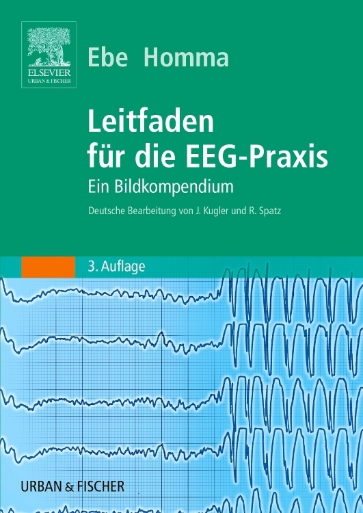 Leitfaden für die EEG-Praxis main product photo