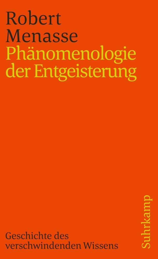 Phänomenologie der Entgeisterung main product photo