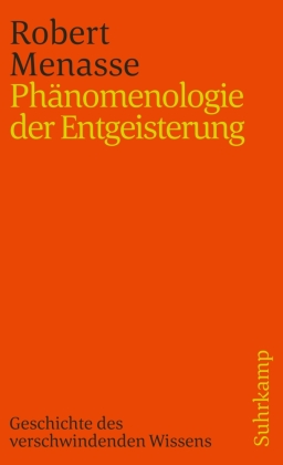 Phänomenologie der Entgeisterung
