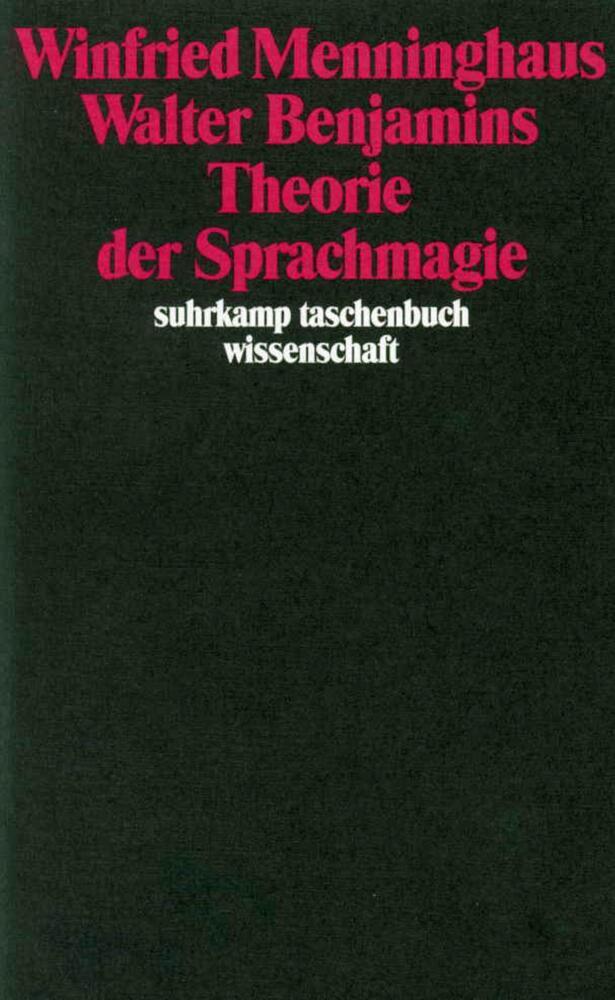 Walter Benjamins Theorie der Sprachmagie main product photo