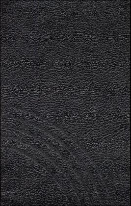 Evangelisches Gesangbuch. Ausgabe für die Evangelisch-Lutherische...