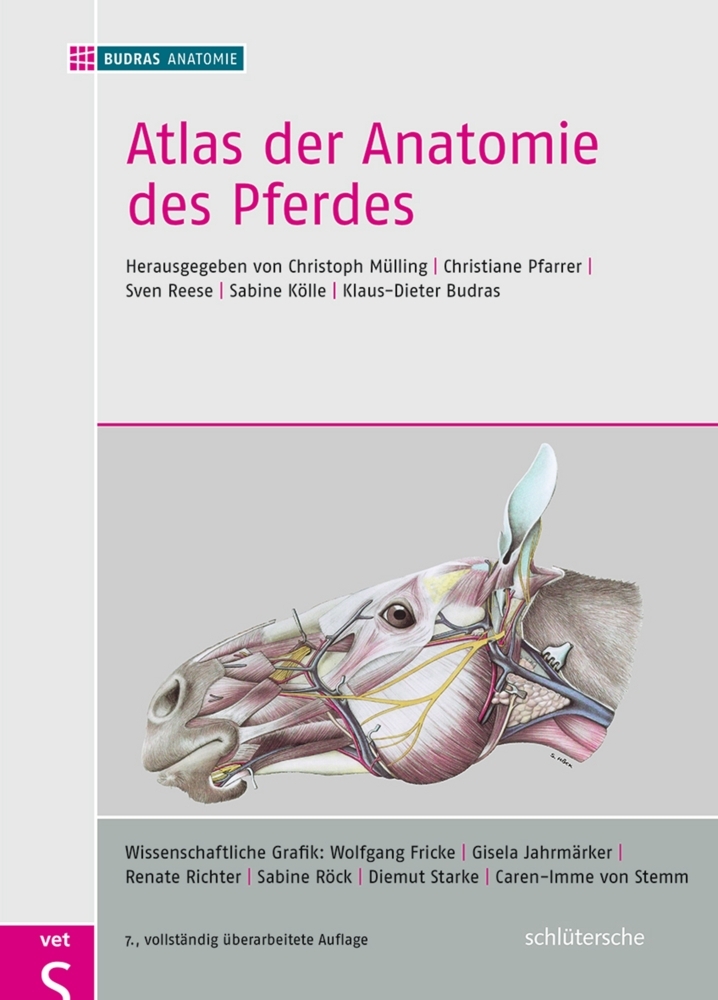 Atlas der Anatomie des Pferdes main product photo