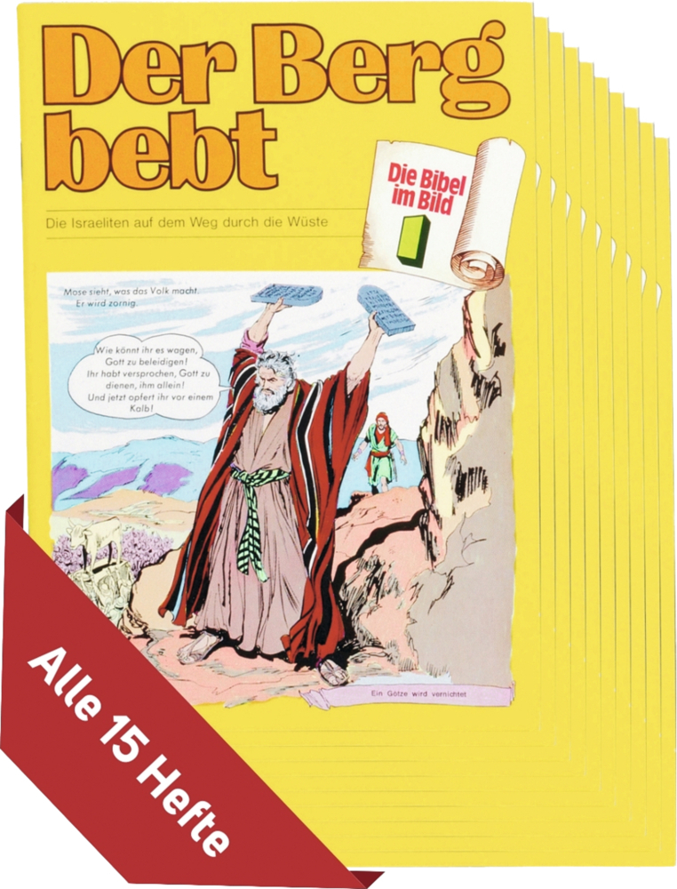 Die Bibel im Bild main product photo