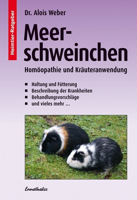 Meerschweinchen main product photo