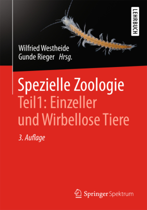 Einzeller und Wirbellose Tiere