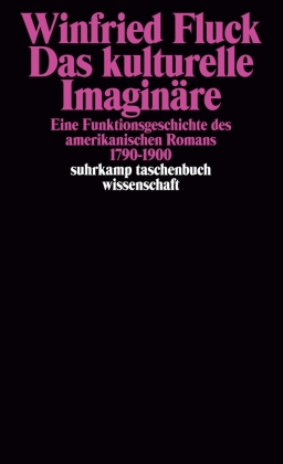 Der amerikanische Roman 1790 bis 1900