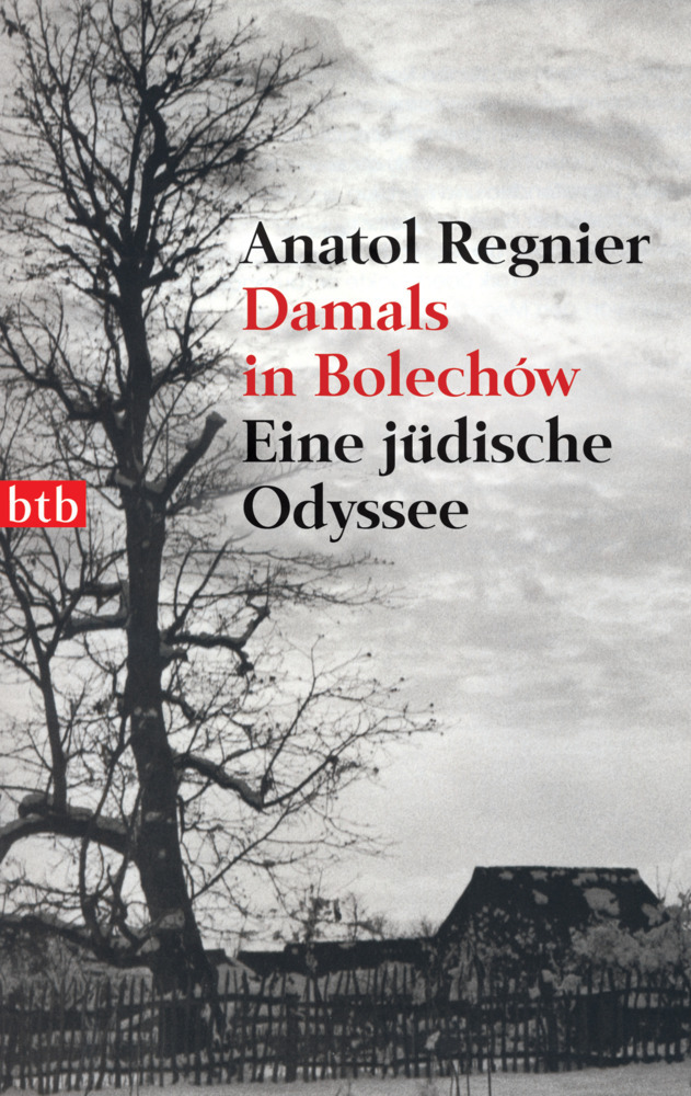 Damals in Bolechow main product photo