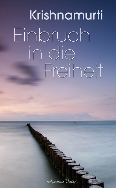 Einbruch in die Freiheit main product photo