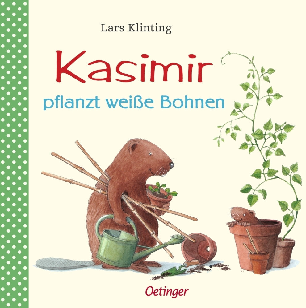 Kasimir pflanzt weiße Bohnen main product photo