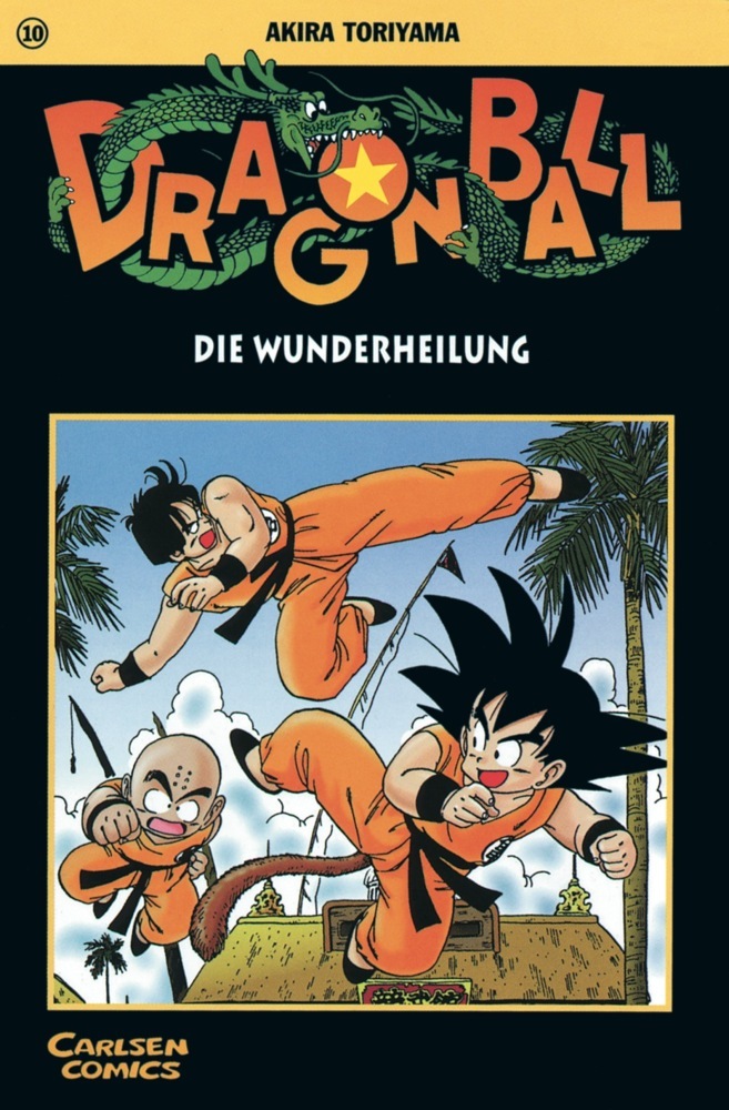 Dragon Ball 10 main product photo