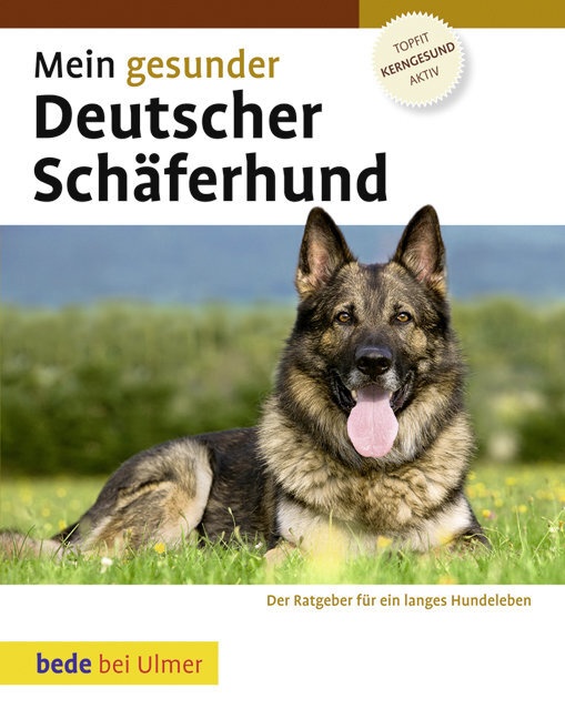 Mein gesunder Deutscher Schäferhund main product photo