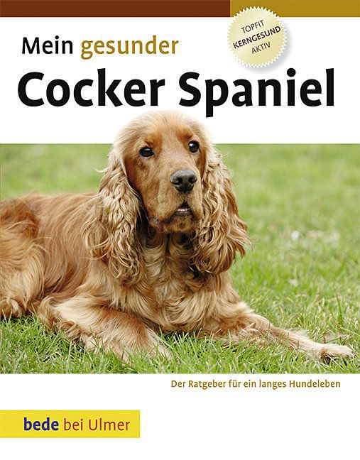 Mein gesunder Cocker Spaniel main product photo
