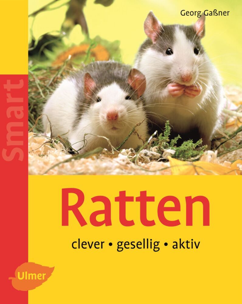 Ratten main product photo