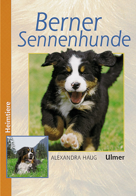 Berner Sennenhunde main product photo