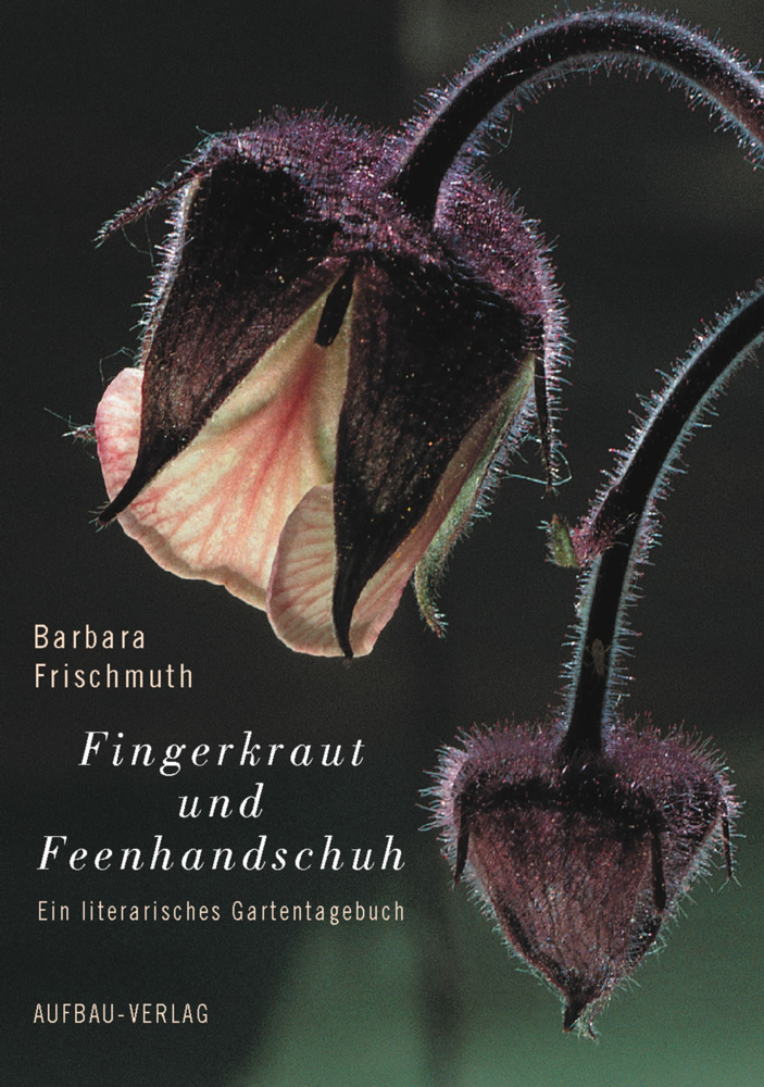 Fingerkraut und Feenhandschuh main product photo