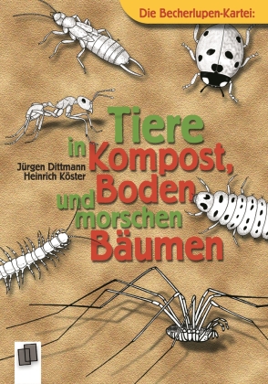 Die Becherlupen-Kartei: Tiere in Kompost, Boden und morschen Bäumen