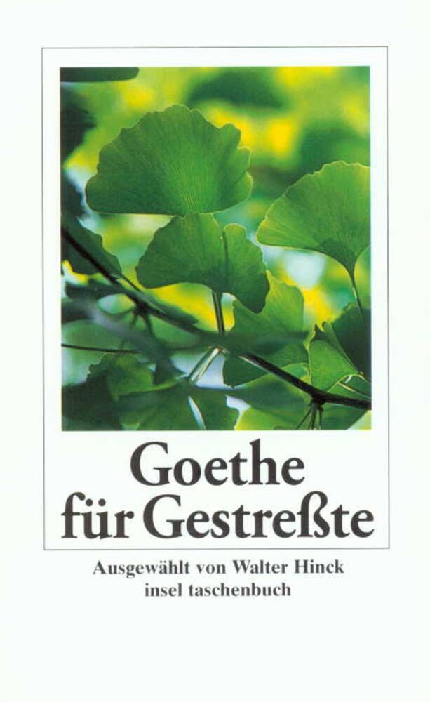 Goethe für Gestreßte main product photo