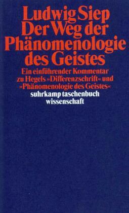 Der Weg der 'Phänomenologie des Geistes'