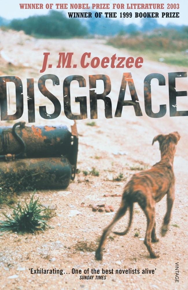 Disgrace main product photo