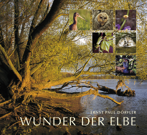 Wunder der Elbe main product photo