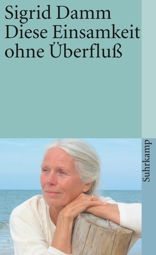 Diese Einsamkeit ohne Überfluß main product photo