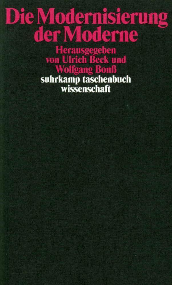 Die Modernisierung der Moderne main product photo
