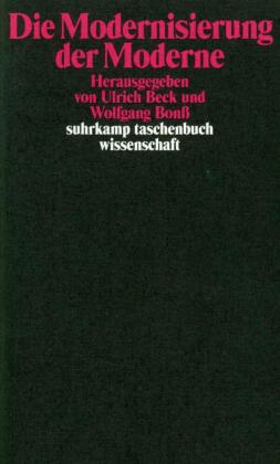 Die Modernisierung der Moderne