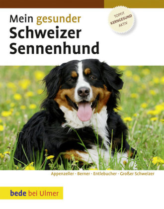 Mein gesunder Schweizer Sennenhund main product photo