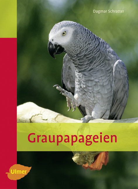 Graupapageien main product photo