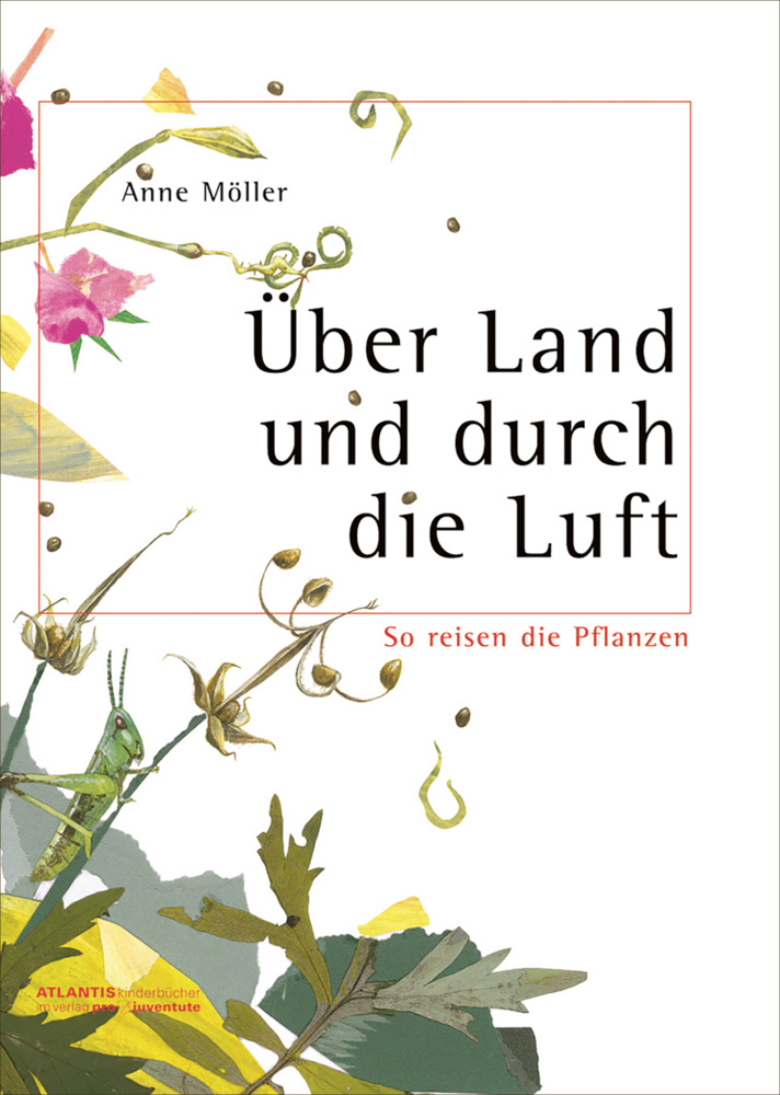 Über Land und durch die Luft main product photo