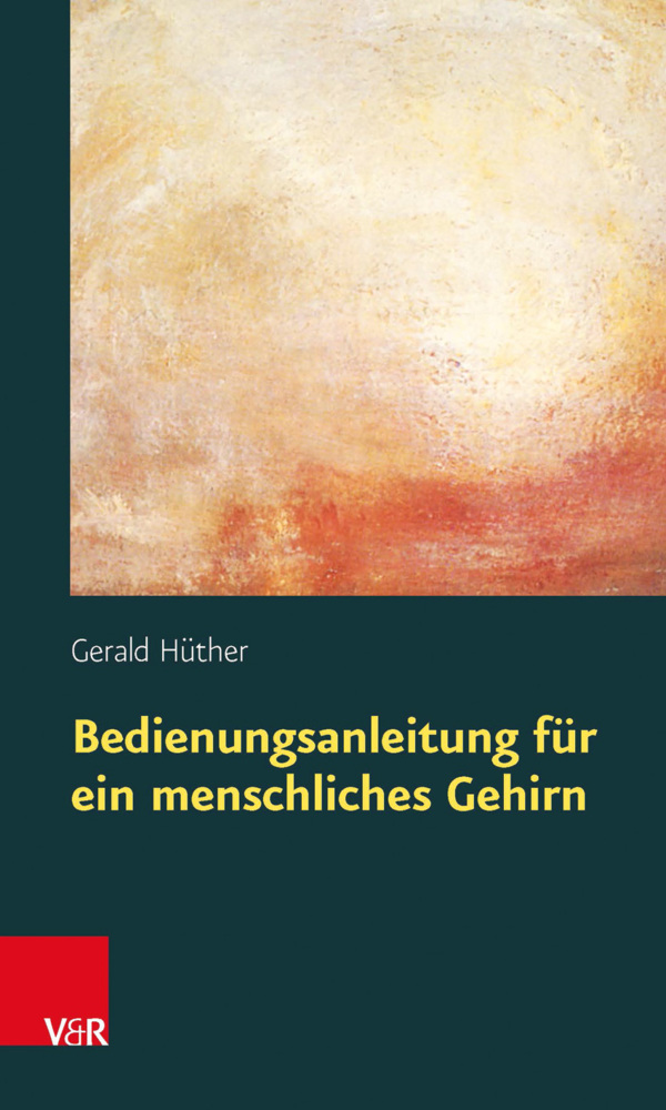 Bedienungsanleitung für ein menschliches Gehirn main product photo