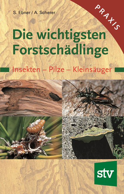 Die wichtigsten Forstschädlinge main product photo